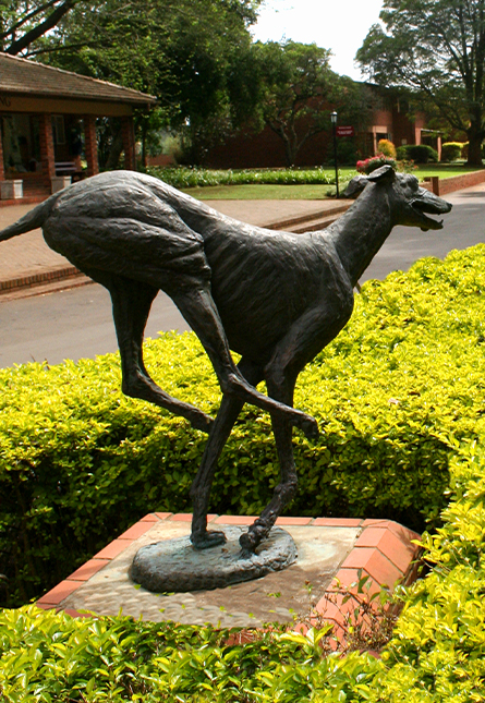 kearsney-college-home-intro-image-1